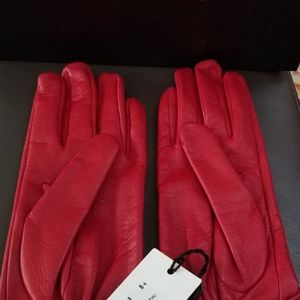 Gloves